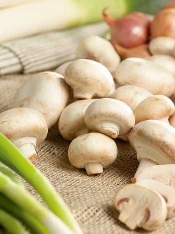 Pieczarka (Agaricus) Biała do Własnej Uprawy Domowej